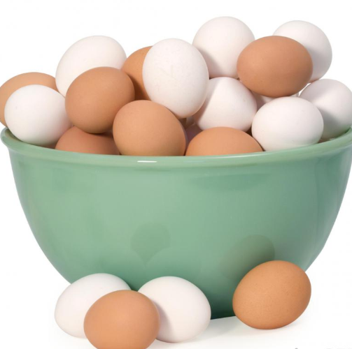 Hot Sale Chicken Eggs, Ostrich Eggs, Netherlands Fresh Table Eggs Brown & White Farm Fresh Chicken Eggs Offer Free Sample