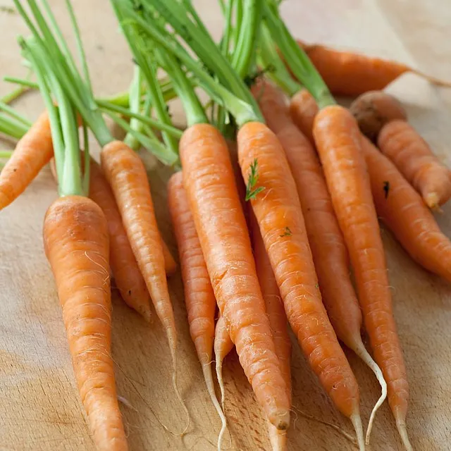 Vegetable Organic Fresh Carrot - Vegetable Viet Nam With International Standards - VI HUYNH +84 911 695 402