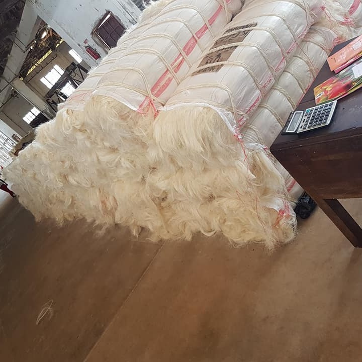 wholesale 100% Sisal Fiber for sale hot discount