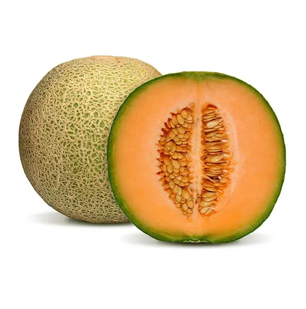 Best Quality Hot Sale Price Fresh Fruits Melons