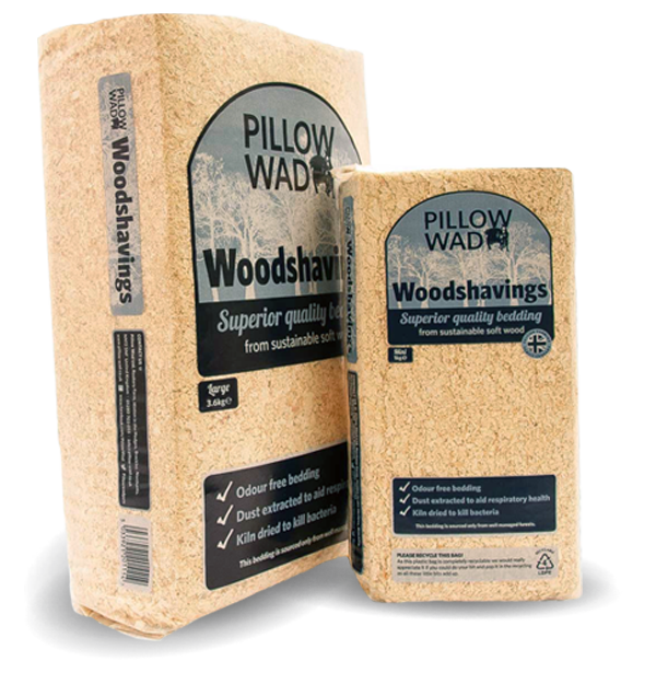 Pine Wood Shavings Agriculture Waste Wood Waste Competitive Price Wood Shavings Best Price
