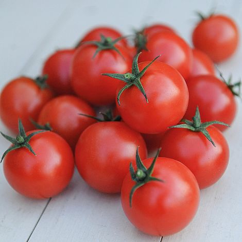 Томатный садовник на продажу