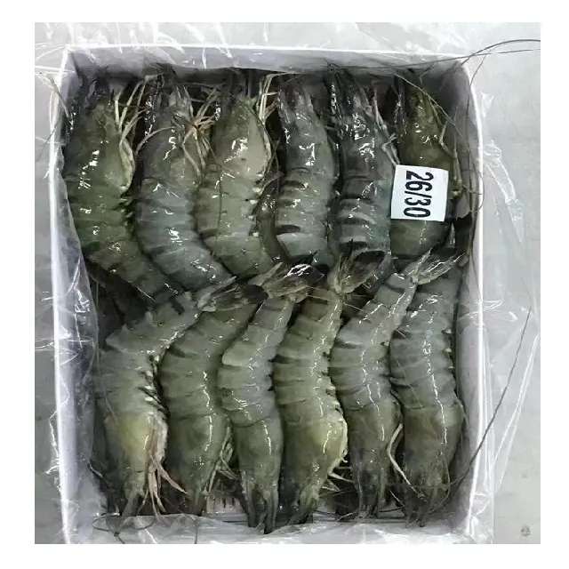 Top quality frozen Black Tiger Shrimps