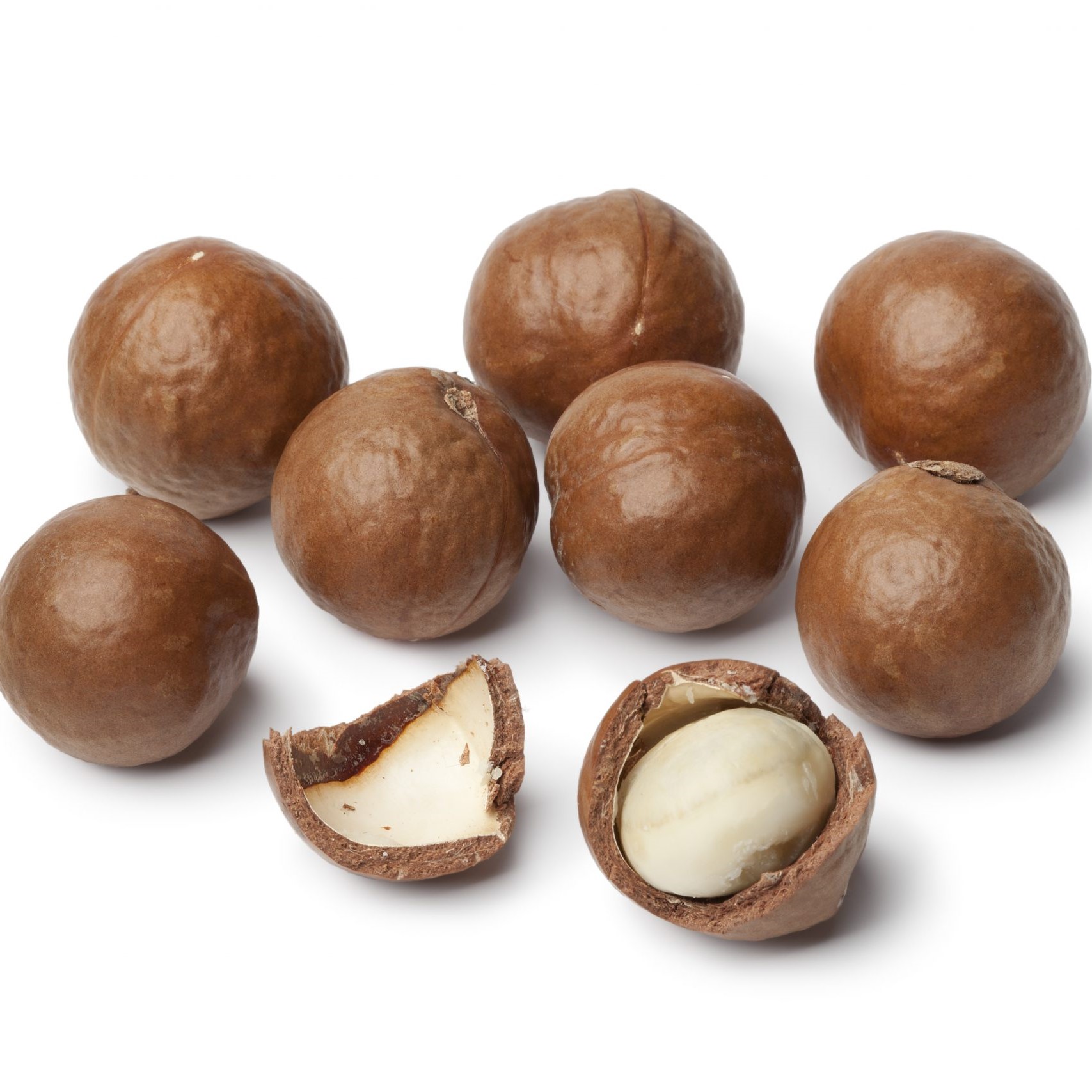 Maccadamia, флагманские вьетнамские товары, оптовая продажа, экспорт по низкой цене, жареные орехи премиум класса