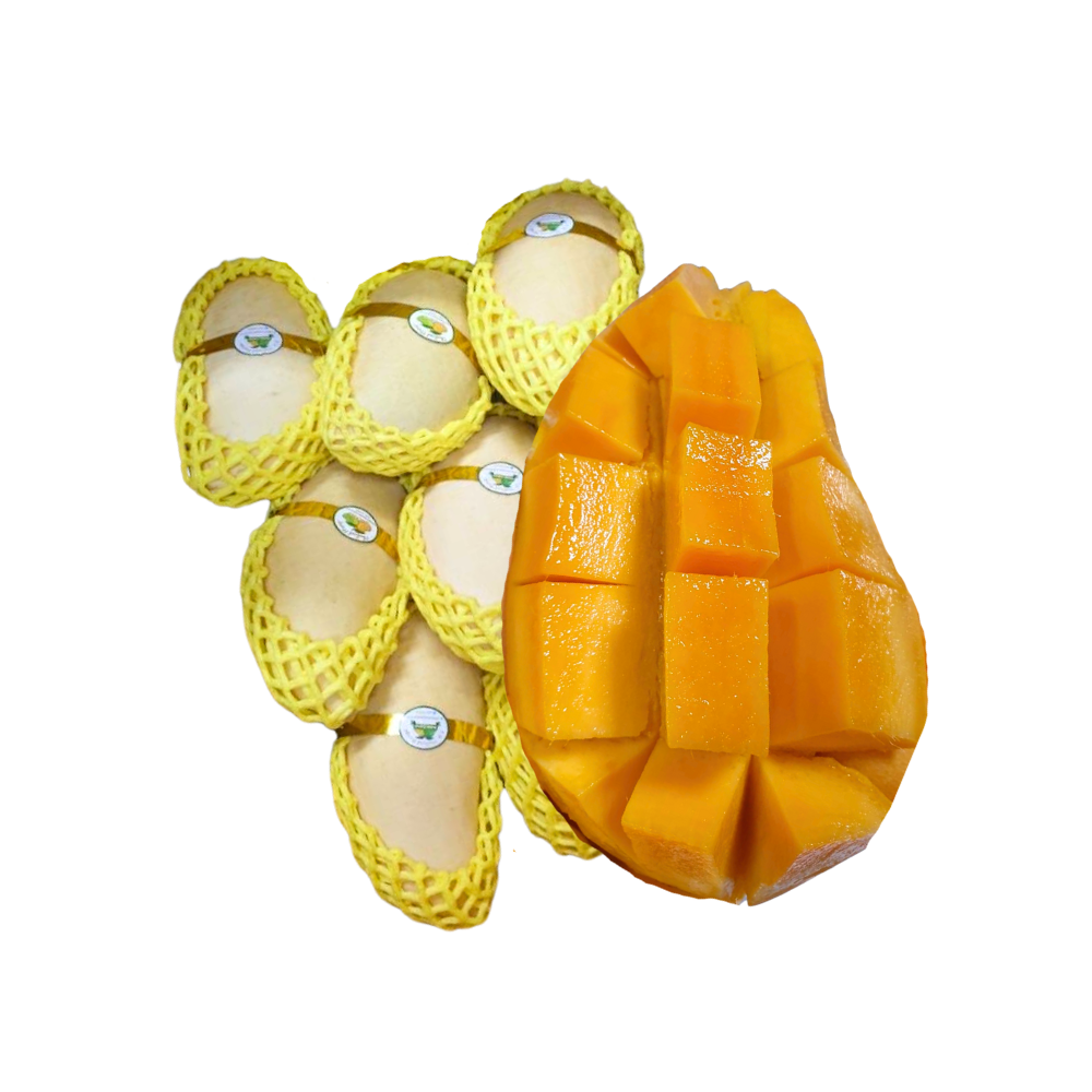 Export Grade from Thailand Premium Fresh Mango Nam Dok Mai Natural Sweet Taste Must Try 8-12 PCS/BOX (Whole)