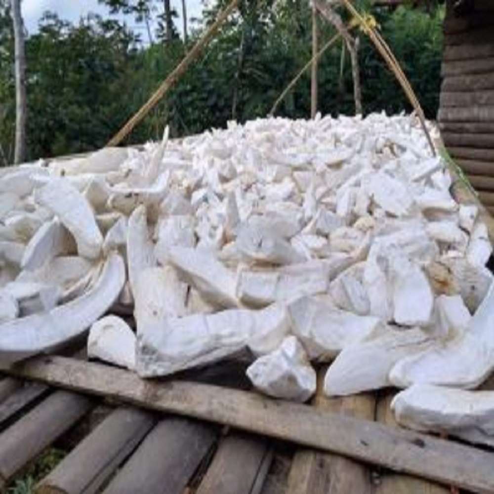 Дешевая цена сушеные чипсы тапиоки с хорошей ценой