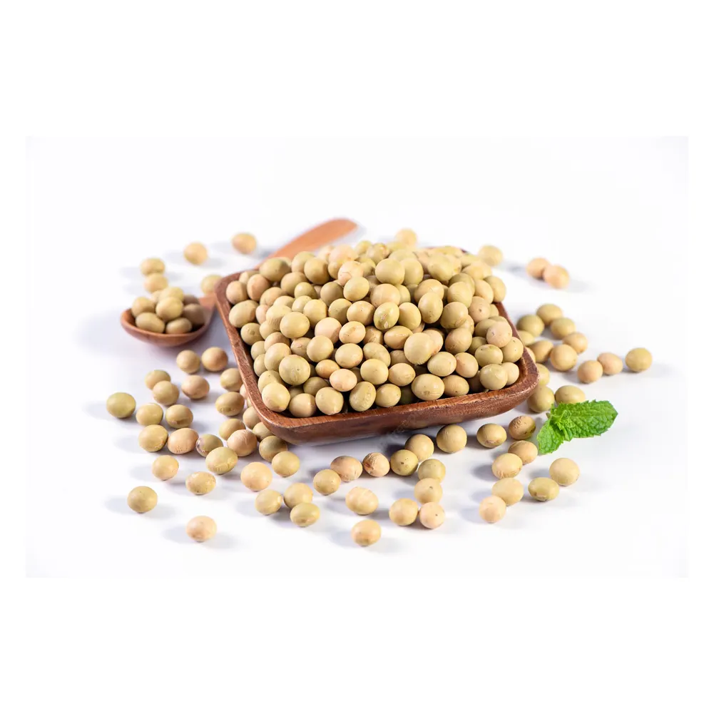 Gmo Soybeans / Soya Beans, Soy bean Seeds and Soya bean Seeds