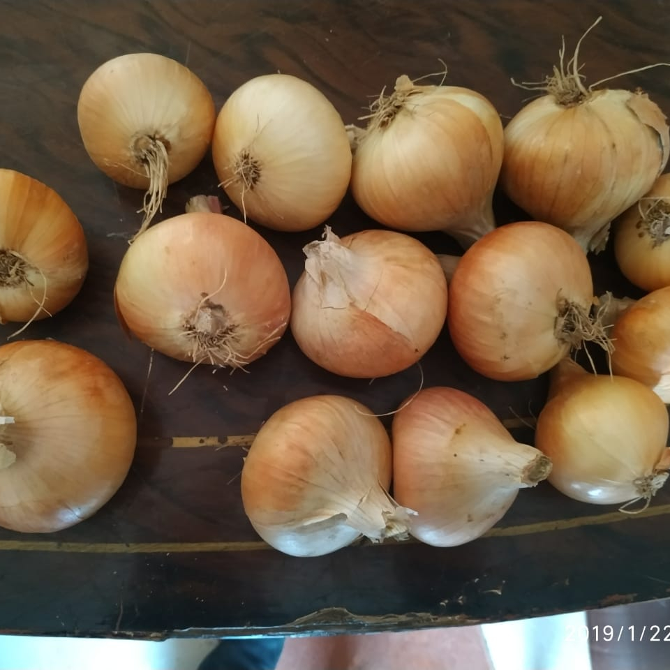 Лидер продаж, лук свежий овощной красный лук с хорошим вкусом