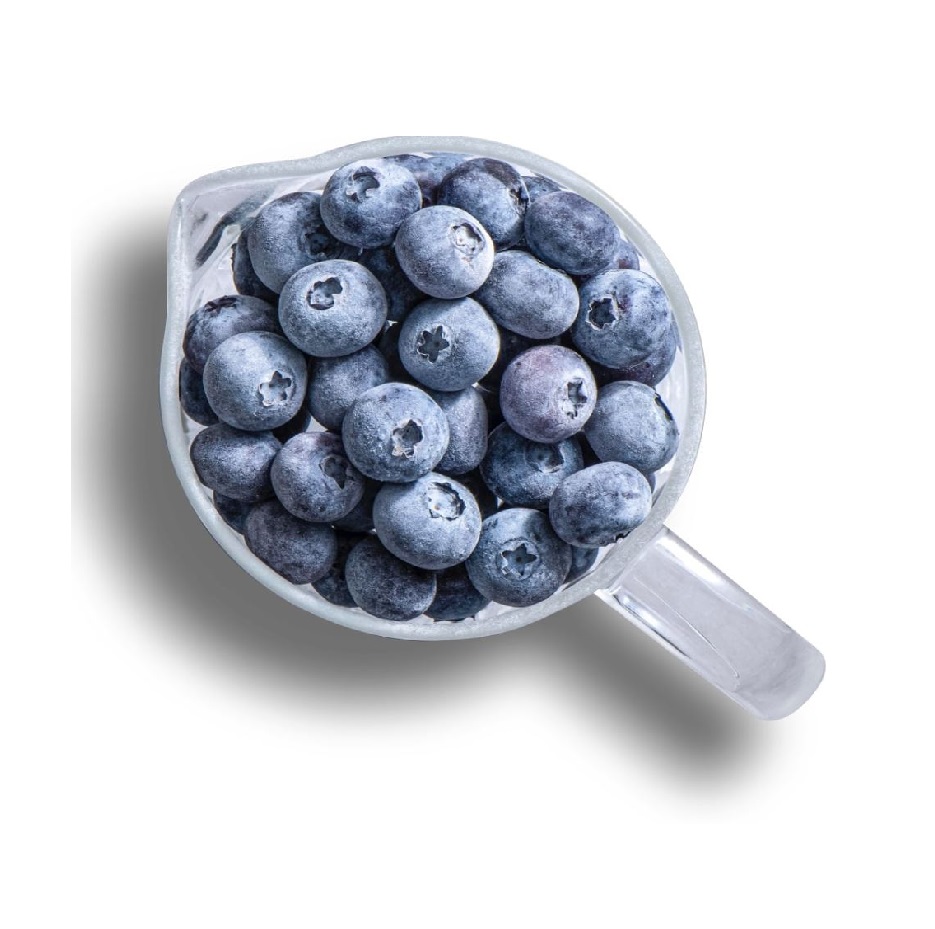 Natural Frozen Blueberries Best Quality Blueberries For Sale From Manufacturer Pure Natural Frozen berries