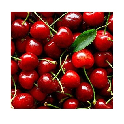 High grade non-GMO sweet cherry wholesale fresh fruits from Uzbekistan new crop fresh cherries for Food