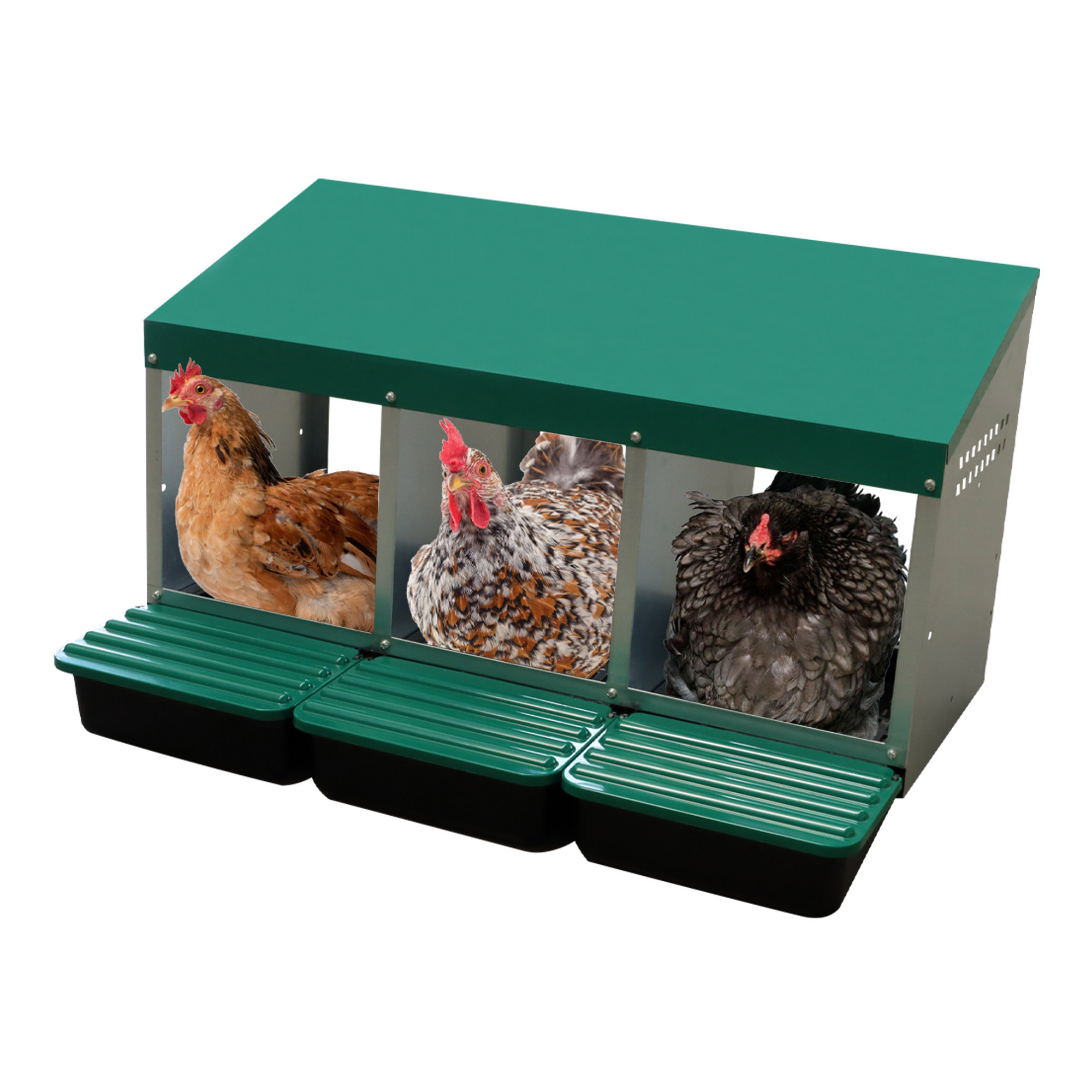 Egg Laying Nest Box MG03 Galvanized Steel Dividers & PP Plastic Collection Tray