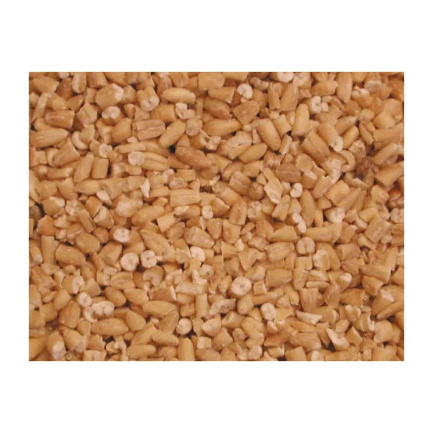 Oat Grains For Sale/Premium Top Quality Rolled Oats , Natural Oat Flakes for sale/Oats Grains Available