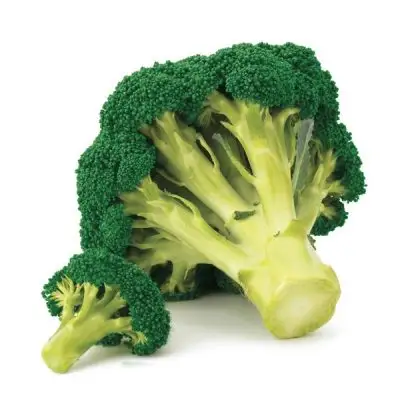 Natural Wholesale Fresh Broccoli Vegetable High Quality Fresh Broccoli