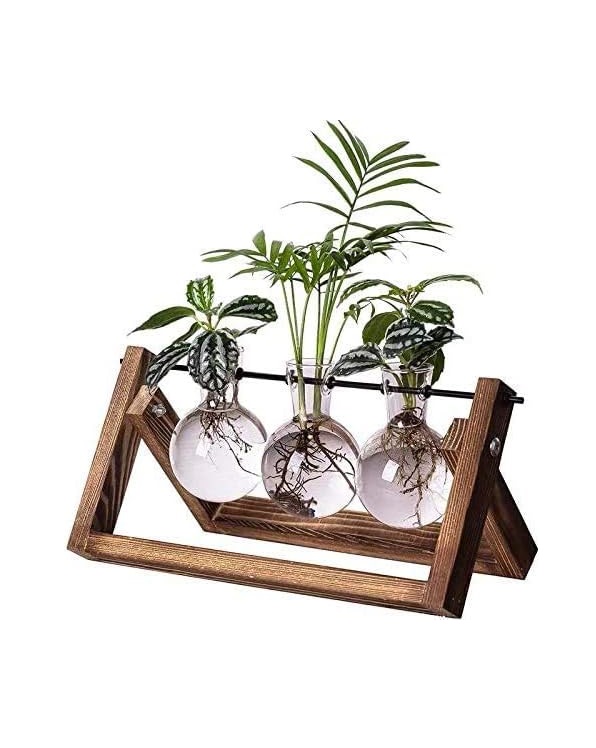 Plant Propagation Stations Terrarium Glass Desktop Planter with Retro Wooden Stand 3 Bulb Vases for Hydroponics Indoor Office