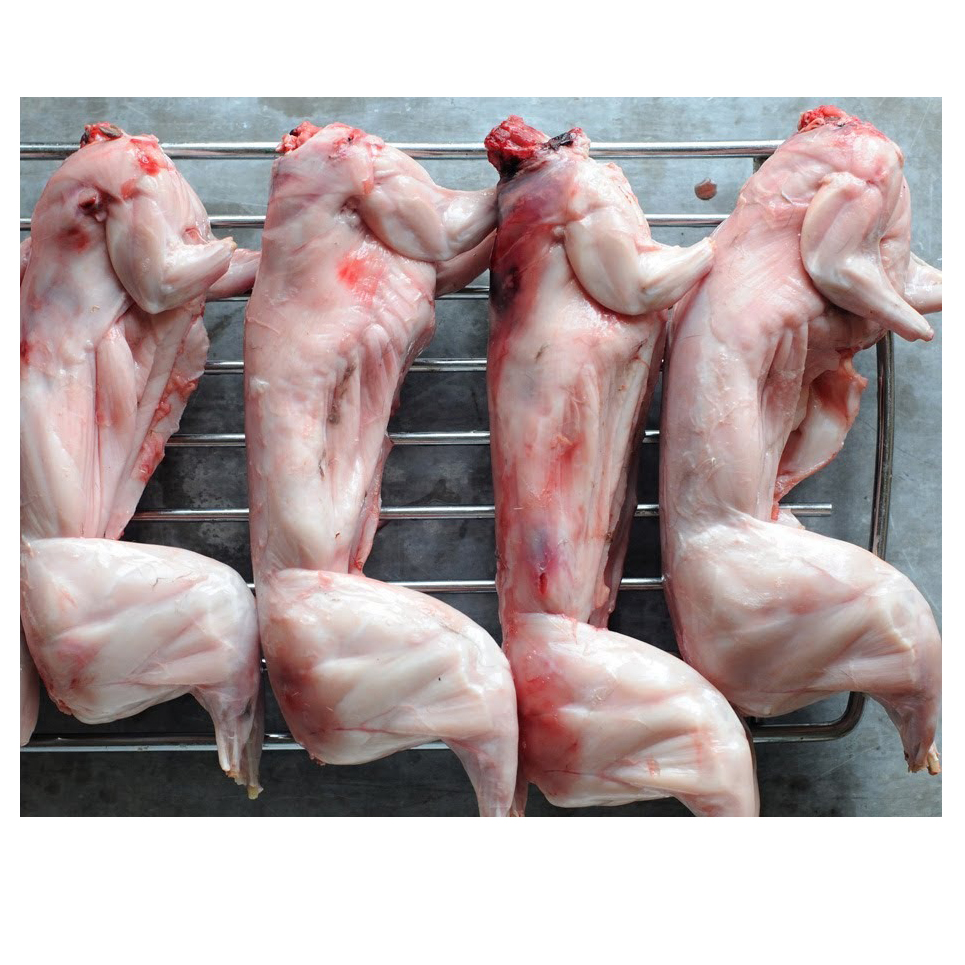 Sell Frozen Rabbit Meat Export Fresh Frozen Rabbit Meat - Perfect for Cooking and Processing Top Quality