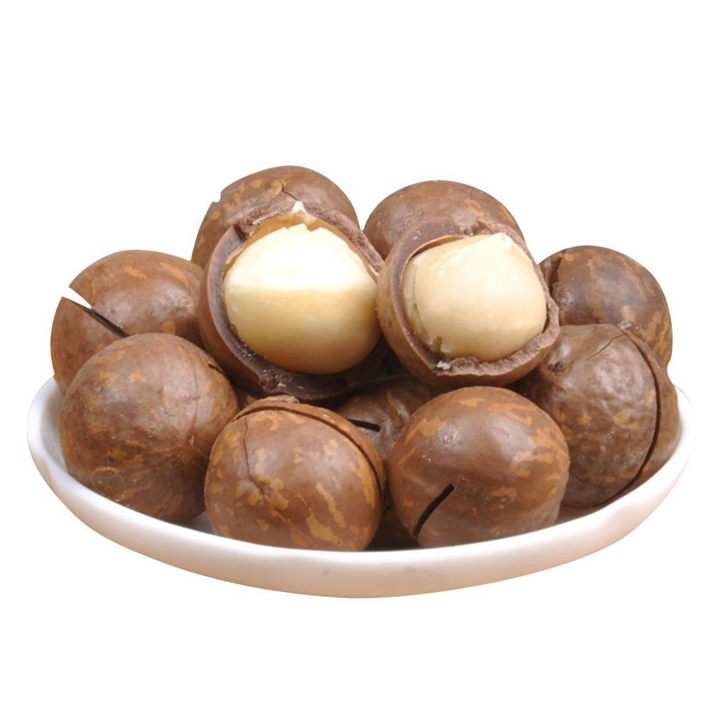 High Quality Organic Macadamia Nuts Roasted and Dried for Wholesale Use in Food Preparation Direct from China