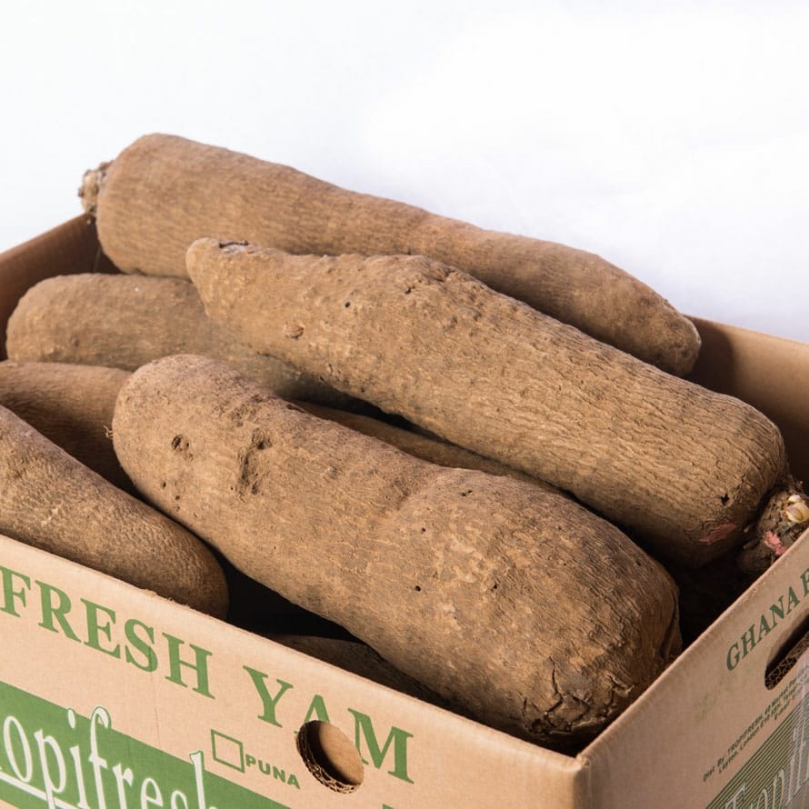 YAM Fresh Organic Jimikand/Suran/Elephant Foot Yam Fresh Vegetables