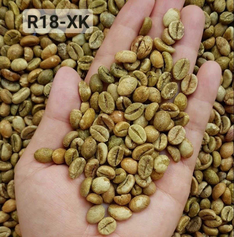 Organic Green Robusta Arabica Coffee Bean Medium Roast Dried and Raw WhatsApp +84 976727907 Ms. Carolina