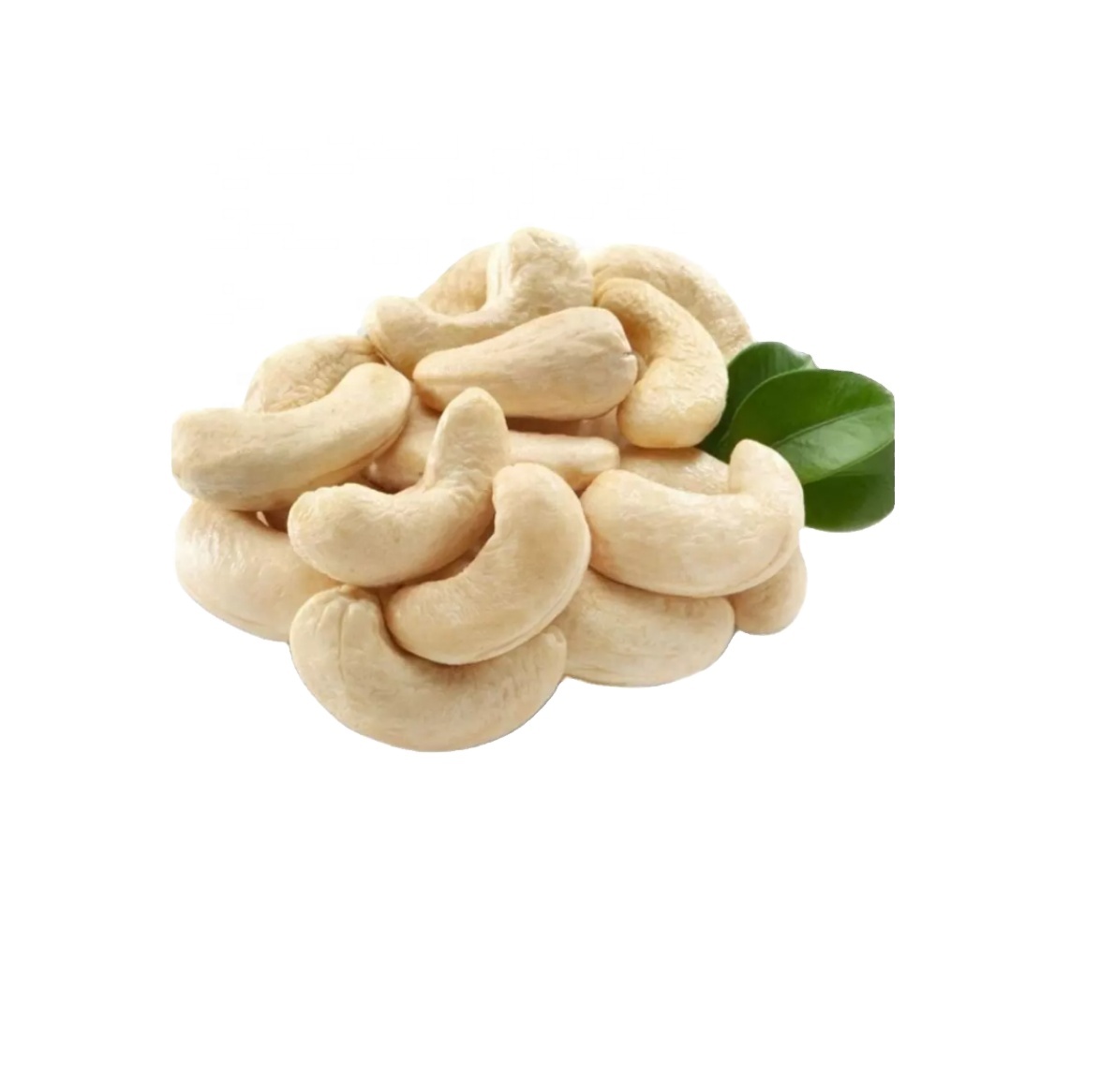 Top-Quality Cashew Nuts (W320 & W240) Direct from Source cashew nuts w320 w240