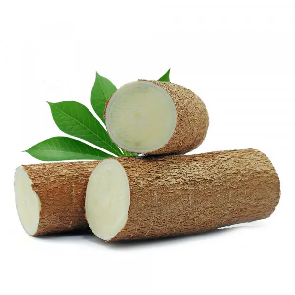 Tapioca Maturity Cultivation Cassava Competitive Price Top quality Tapioca Chip Dried Ready Export