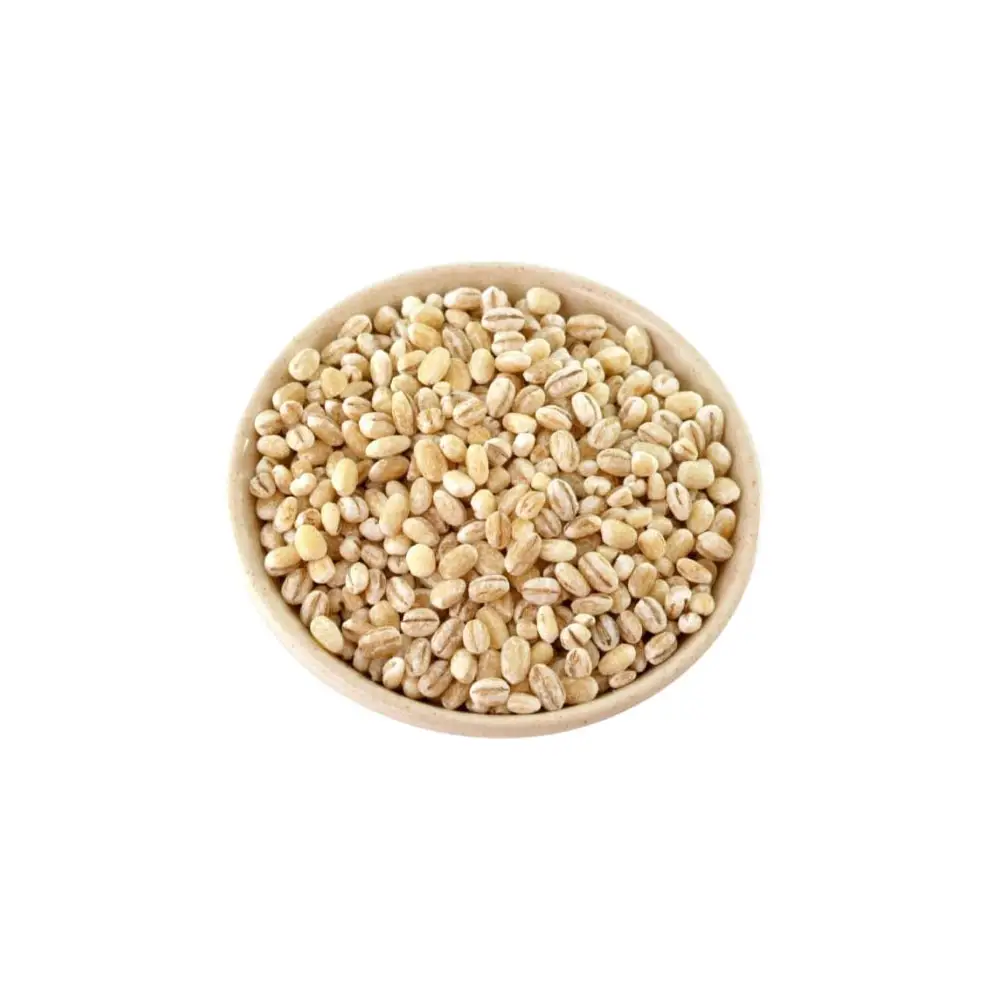 High Quality  Barley Seeds Malt Grain