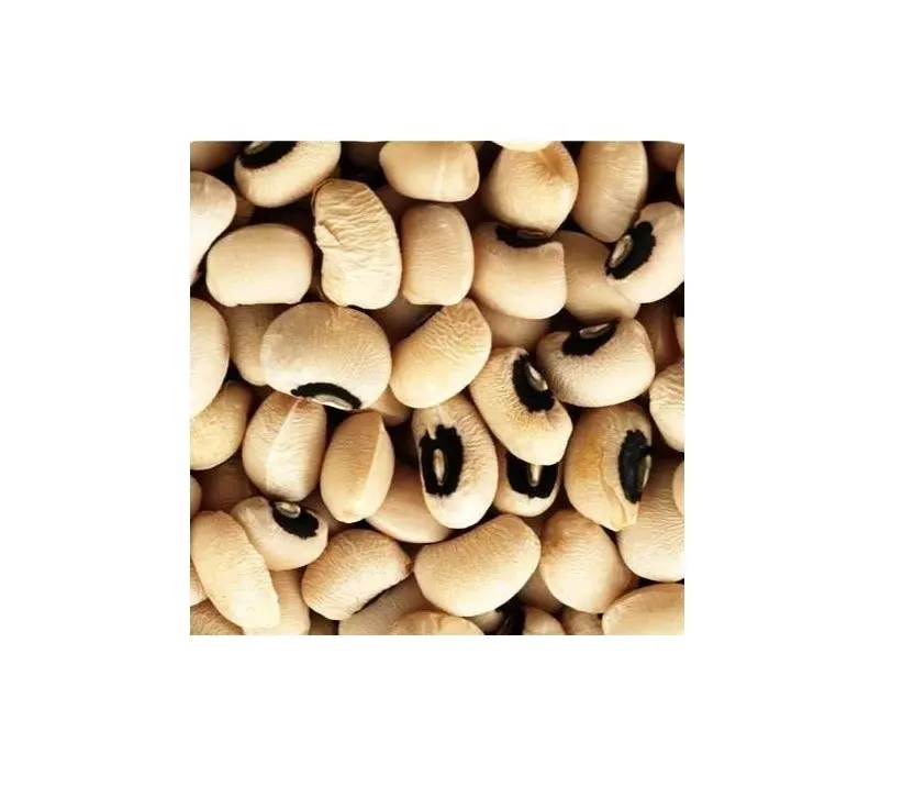 black eyed new beans food grade 50kg bag kidney bean wholesale dried dark red black eyed beans