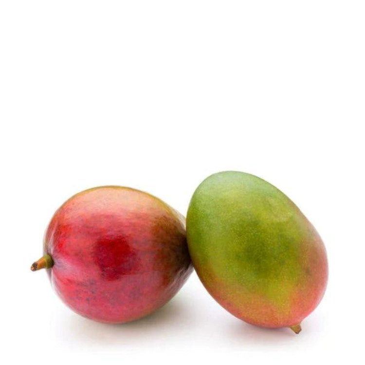 Продавец Ecuador Origin, продажа высококачественного свежего манго Кент для оптовых покупателей