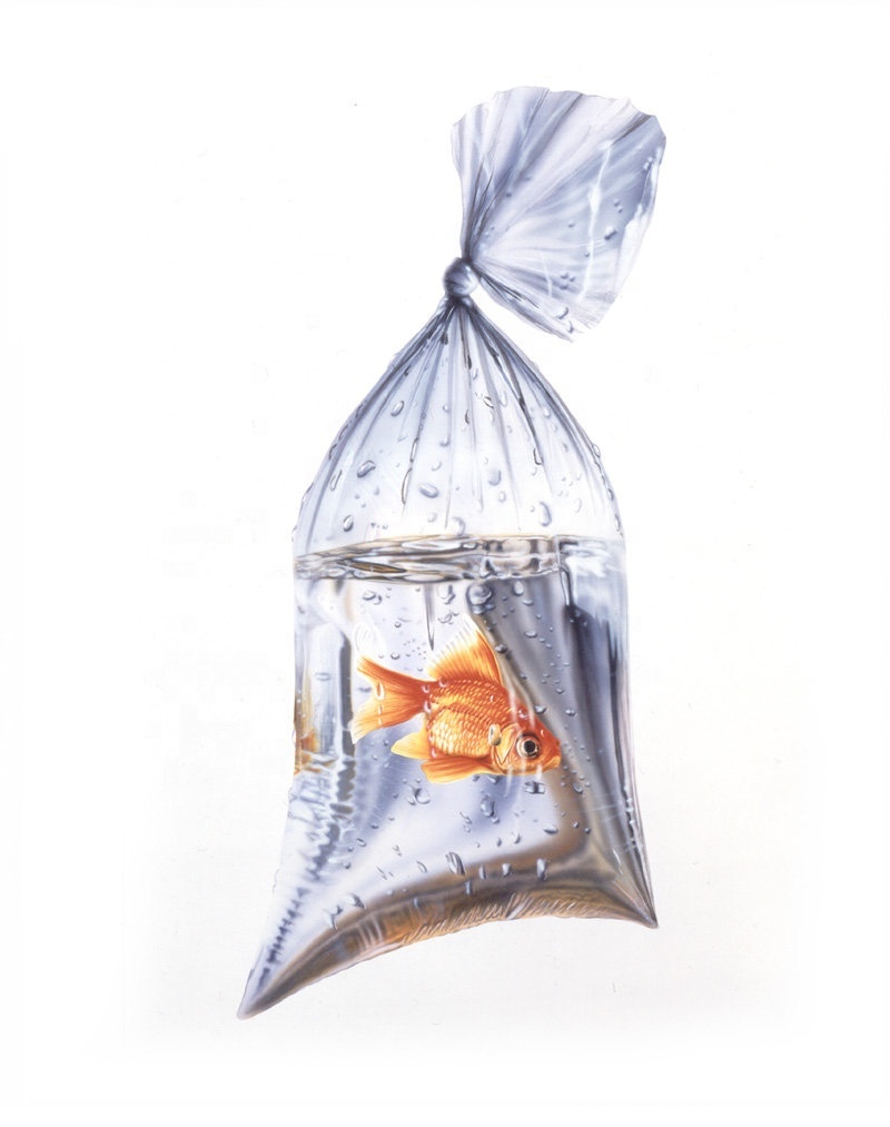 2023 Factory Direct Selling Transparent PE Plastic Bags For Product Storage