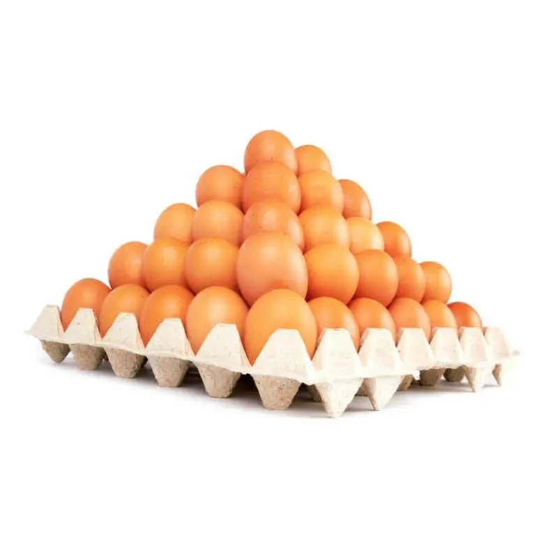 Quality Fresh Chicken Table Eggs Wholesaler