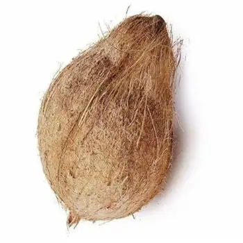 Newest Crop Semi Husked Coconut Dry Coconut Big Size For Export On The Market