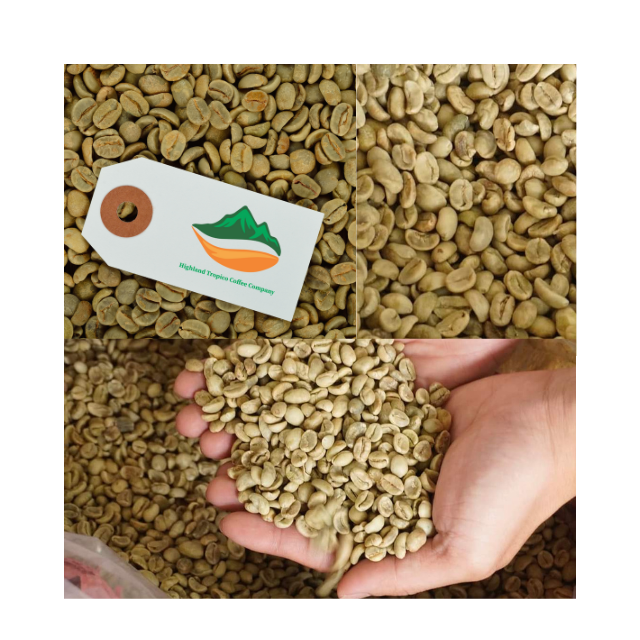 Aromatic Robusta Coffee Beans Vietnam Green Coffee Beans Made in Vietnam Bean ISO22000 2018 High Quality 18 Drink Premium Grade