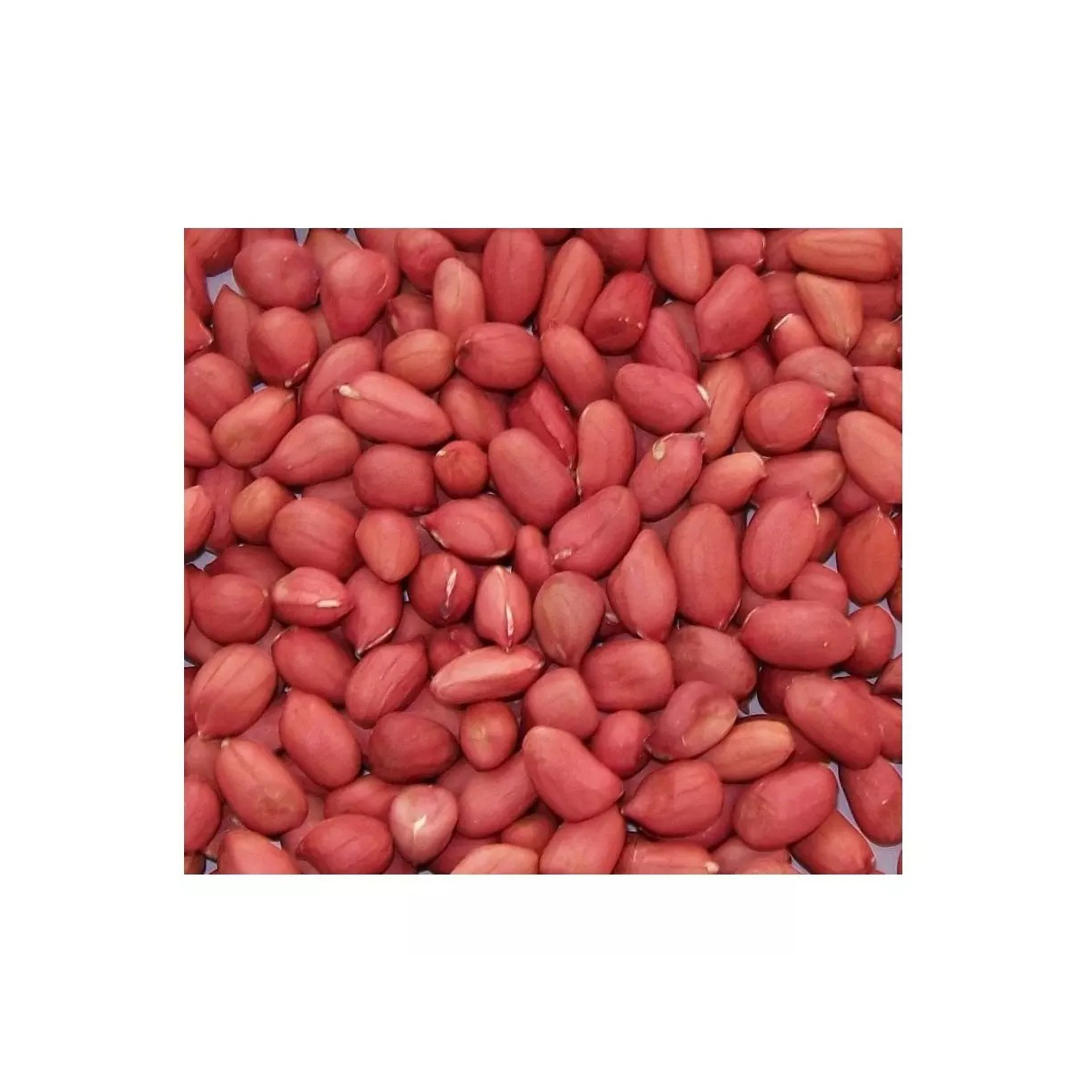 Оптовая продажа, арахис, сырой арахис, красная кожа, арахис