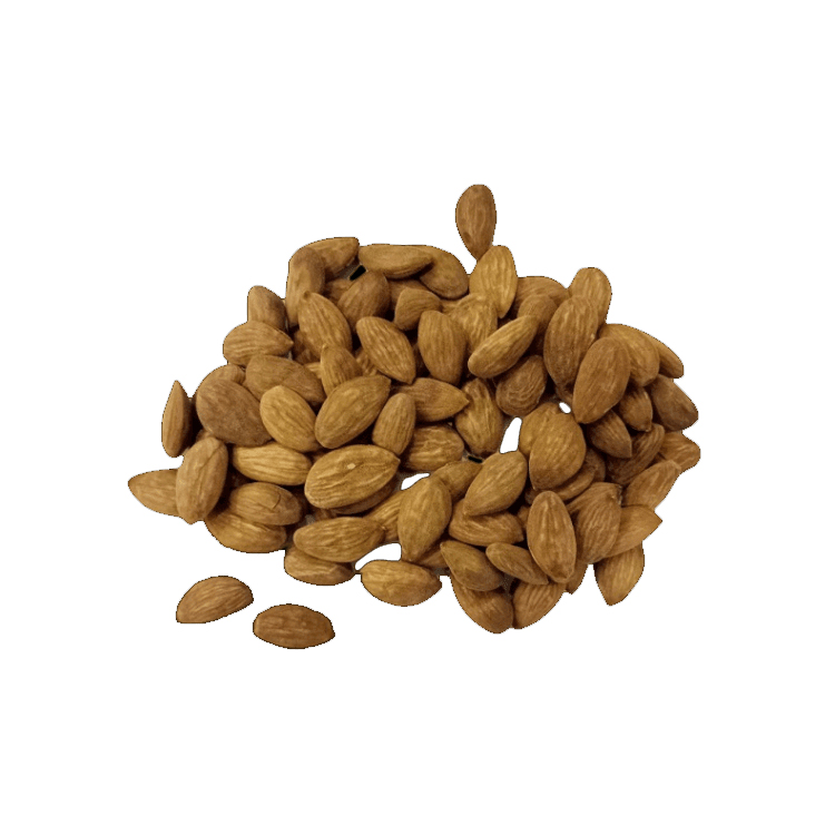 Best Quality Hot Selling Wholesale 100% Natural Pure Dried and Clean Healthy Delicious Raw Almond Nuts from Uzbekistan
