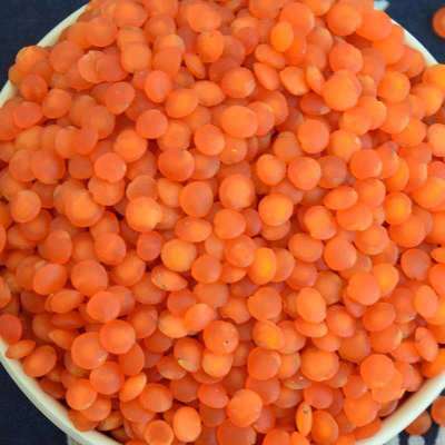 Оптовая продажа, Импульсы и чевица с вкусным вкусом сельскохозяйственной продукции