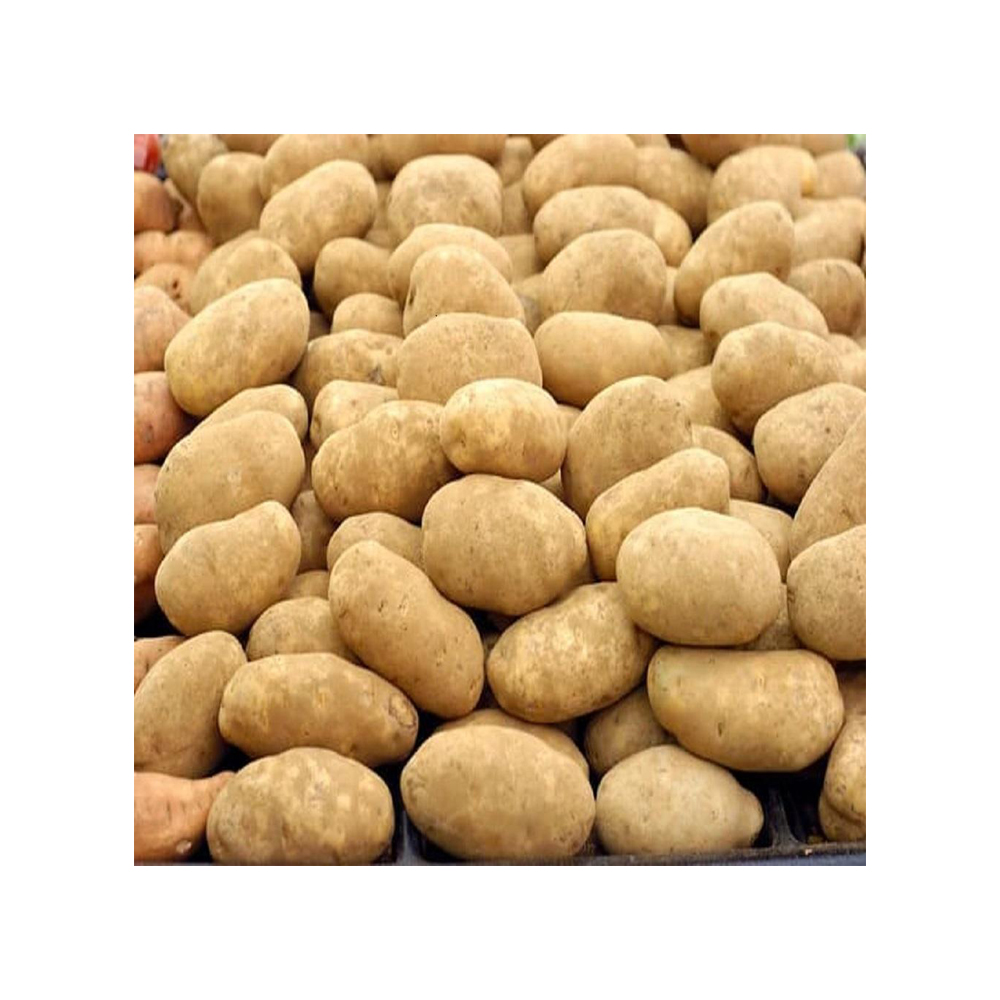 Свежий картофель, сладкий картофель, высокое качество, низкая цена, профессиональный экспорт, оптовая продажа, свежий картофель