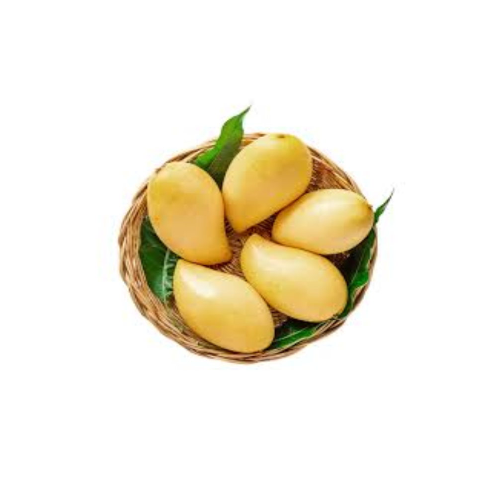 Высококачественный Свежий манго Golden Nam Dok Mai RL, поставка бренда, качественный продукт из Таиланда, производство, экспорт, большой рынок