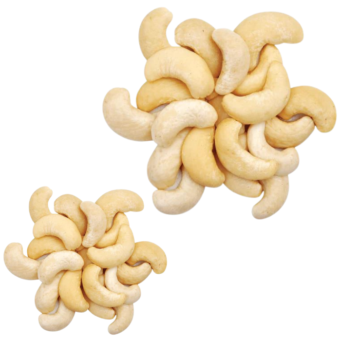 Cheap High Quality White cashew nuts all sizes Daily nuts Snacks nut Custom packaging Manufacturer Vietnam