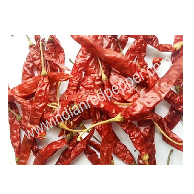 Premium Quality Chili with Stem Highlighting the spiciness used in various cooking applications available in customized packing