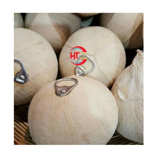 Top Grade Instant Use Husked Fresh Organic Sweet Coconut Drink With Ring Pull And Shell Peeled & Polished Exported From Vietnam