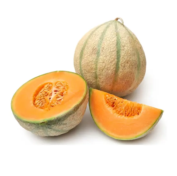 Spanspek Single Fresh Melons Fruit Buy Online Wholesale Deal Manufacturer Bulk Stock Supplier