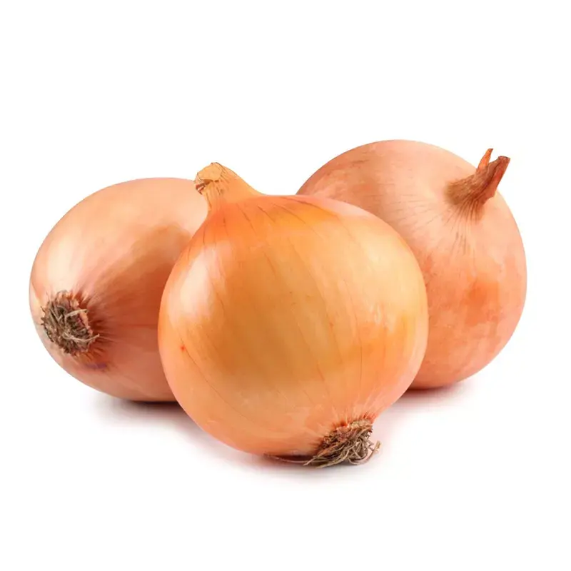 Fresh Red Onion/Fresh Yellow onion For Export At Cheap Price for sale