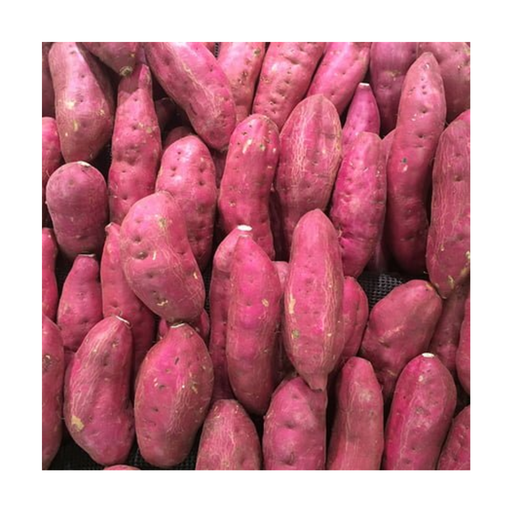 Самая низкая цена на рынке от вьетнамского нашего продукта, сладкий желтый картофель лучшего качества
