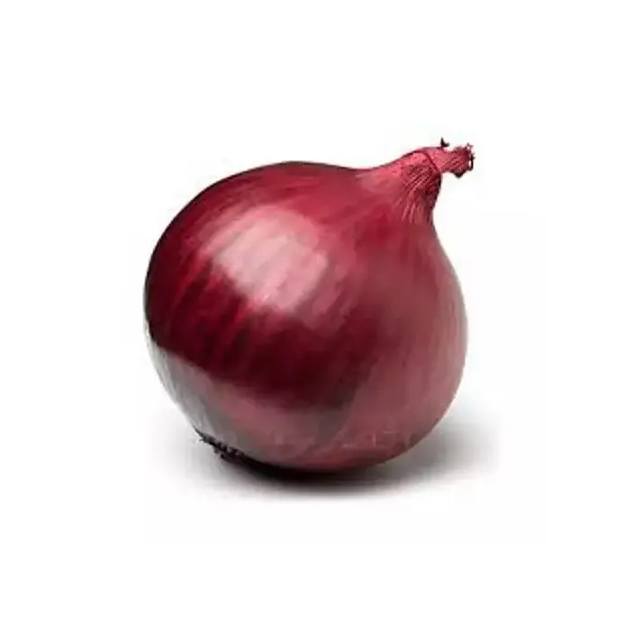 Certified ISO 9001\2008 New Crop Red Fresh Onion From Egypt for export