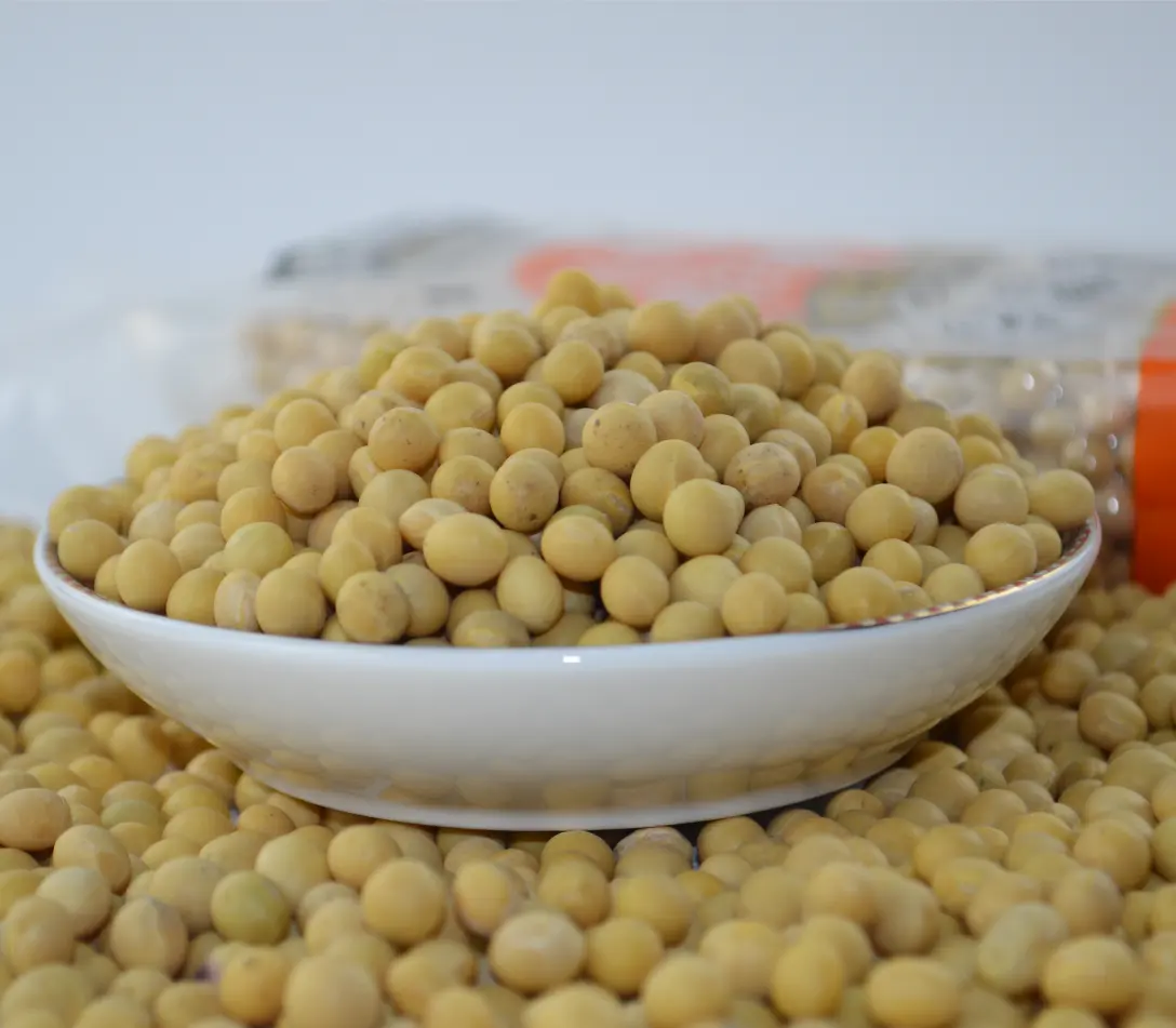 Brazilian NON-GMO Soya Beans Soybeans