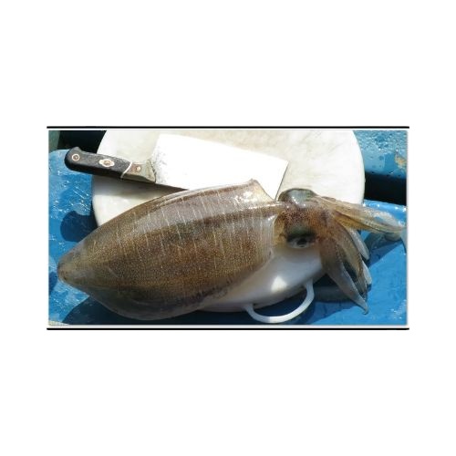 Замороженные морепродукты, Высококачественная вакуумная упаковка класса А, цельная замороженная морская рыба, очищенная замороженная рыба из Таиланда