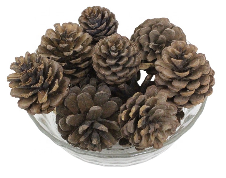 Pure Natural Lattu Pine Natural Fresh Unscented Potpourri