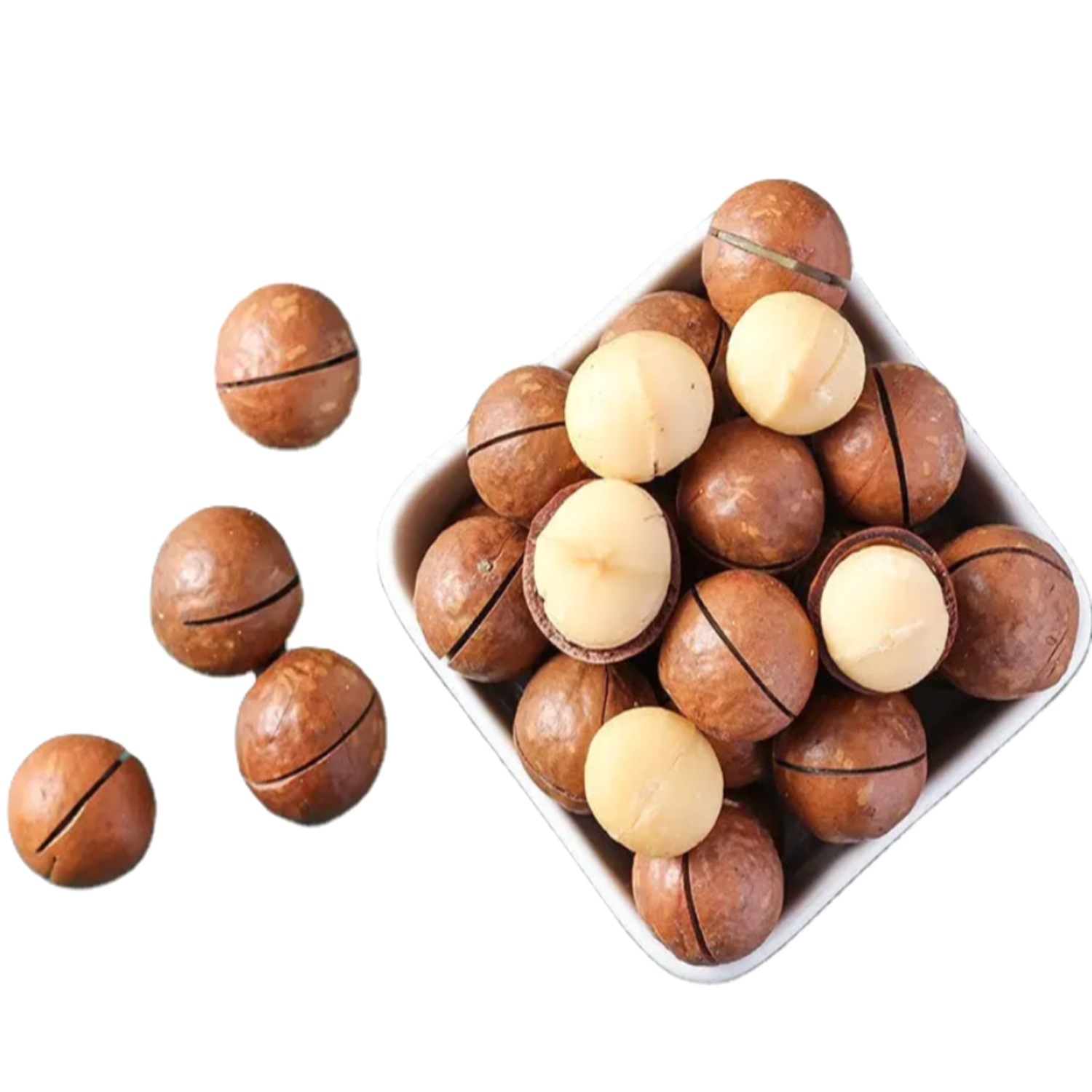 RICH PREMIUM quality wholesale organic cheap macadamia buyers for sale organic macadamia nuts natural delicious raw