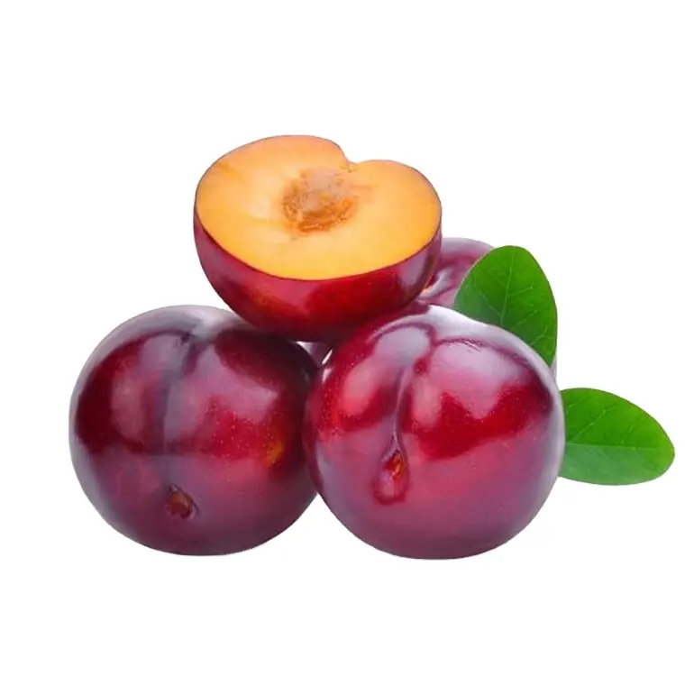 organic plum origin type fresh plum fruits from south africa for sale fresh black plum fruit