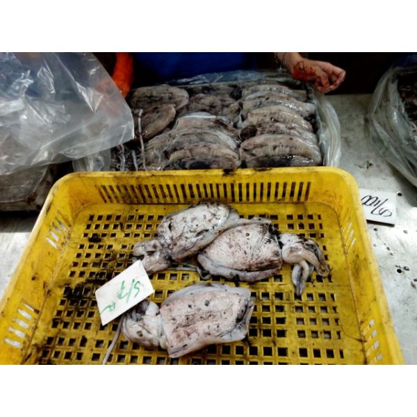 Замороженные морепродукты, лучшее качество, замороженная морская рыба, цельная круглая
