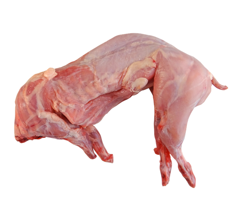 Горячая Распродажа замороженного кроличьего мяса